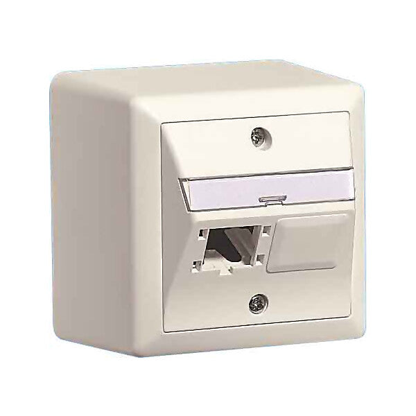 R&M AP-Global-Dose 80x80, 2x1 Port 310786
